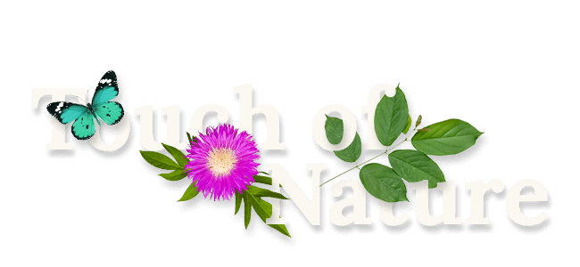 Touch of nature